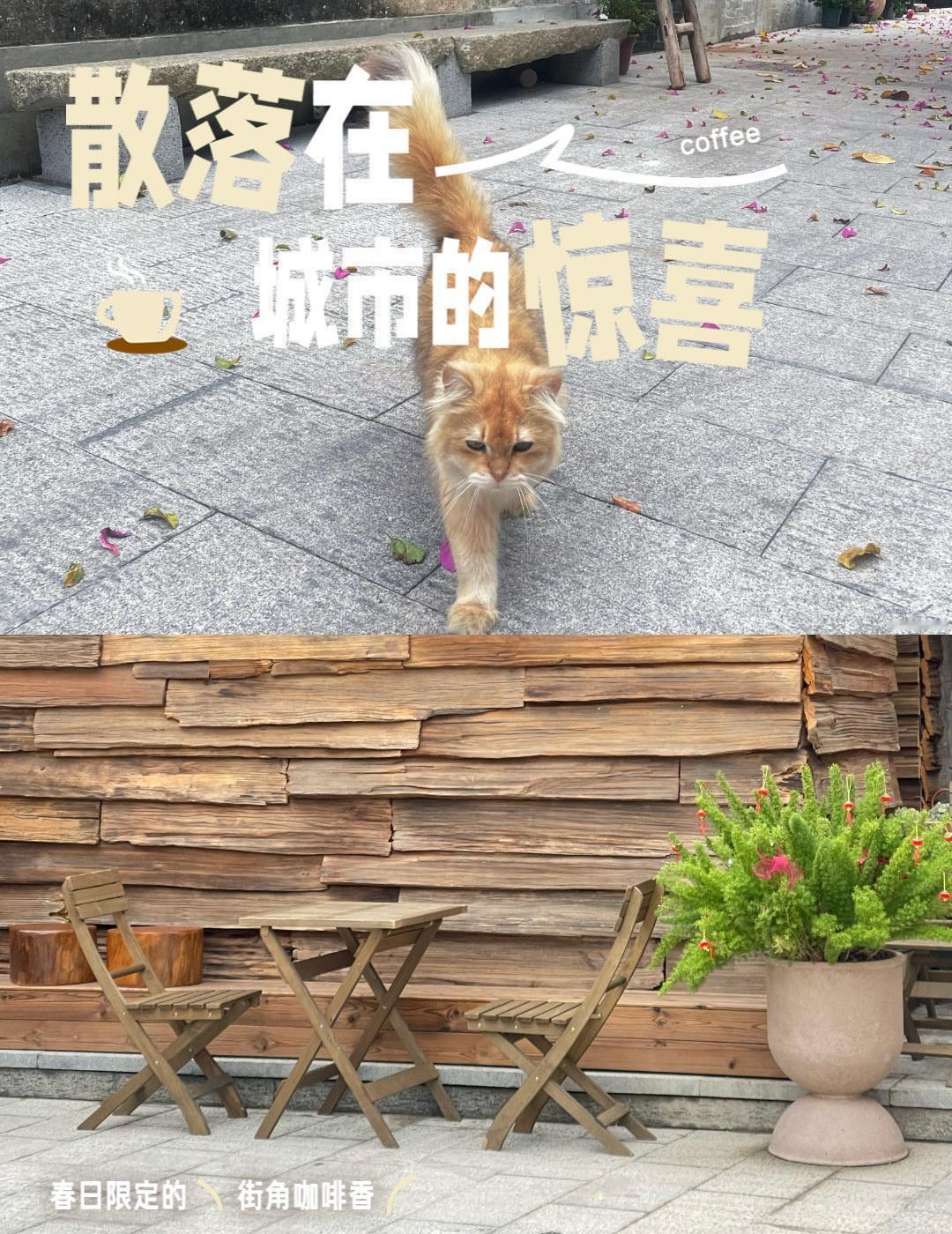 寻常巷陌的小标记~
📍广州 
0元玩转这座城今天介绍大墩村
放假和朋友过来吃吃
