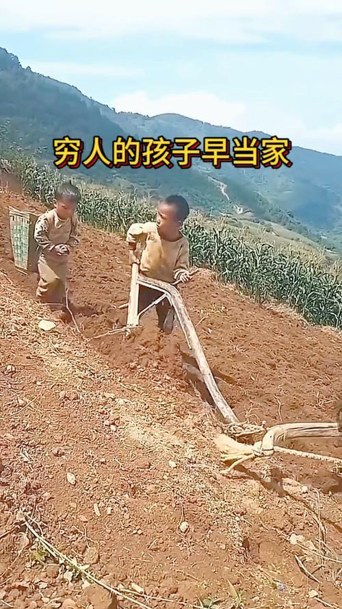 龙生龙，牛生牛，但龙的后代以后可能成为牛。随着人口危机的出现，有一些穷...
