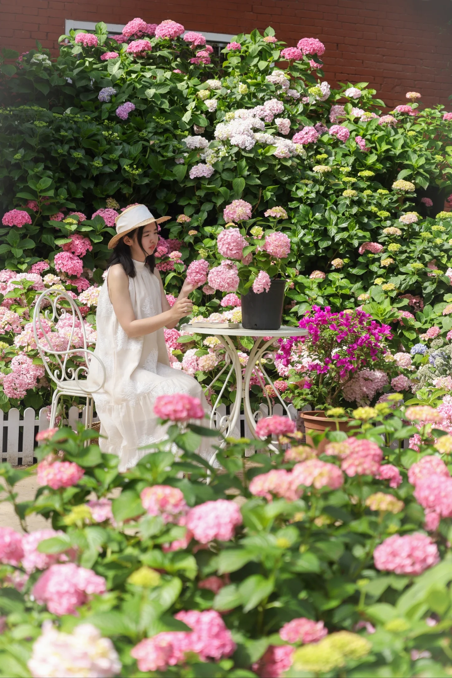武汉莫奈花园❗️在跟风最成功一次
