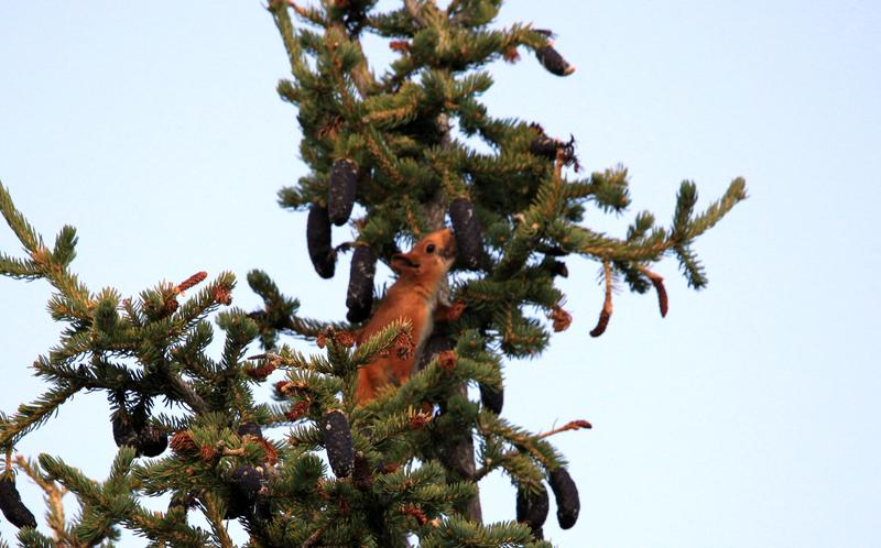 “解释不清了！”四川，一男生去稻城亚丁旅行，中途累了坐下休息，没想到，刚坐下不到