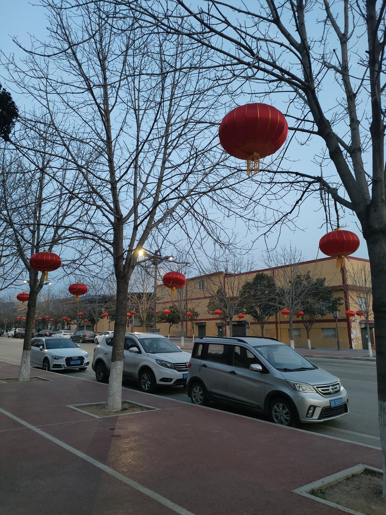 红灯笼在疏枝间悬成星火，暮色给街道裹上蓝调，连风过处，都漾着年节的温软。
🌆 