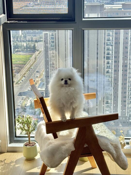 错了…下次还敢～