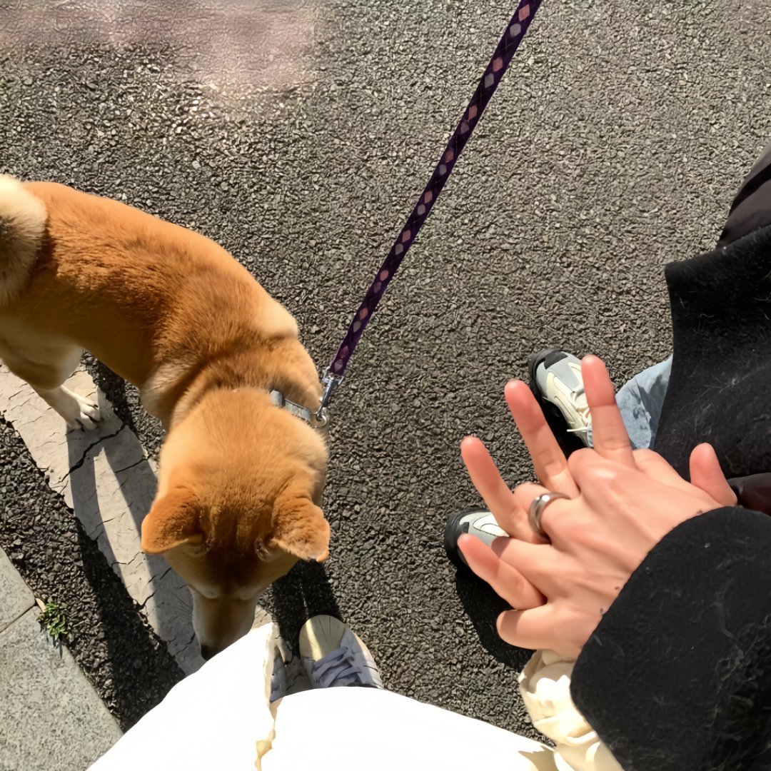 城市永远灯火璀璨，车流穿梭，人来人往的街道里，藏着无数匆匆赶路的平凡与孤独。直到