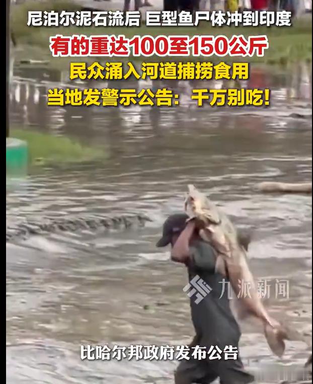 吃人血馒头的印度，即将遭受天谴地球上最没有做人底限的两个国家，一个是以色列，一个