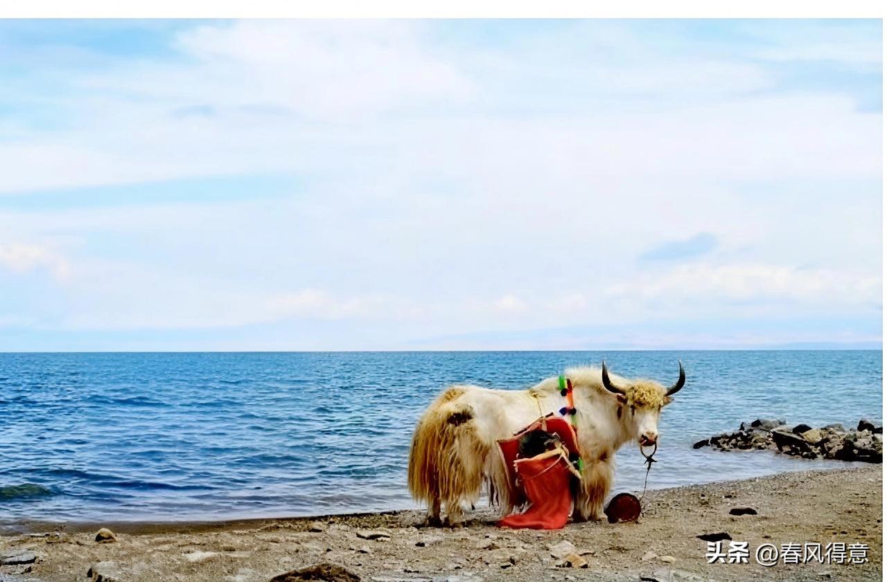 考考你的地理知识，请问下面这张图是中国的那个景点？知道的评论区留言，谢谢[作揖]