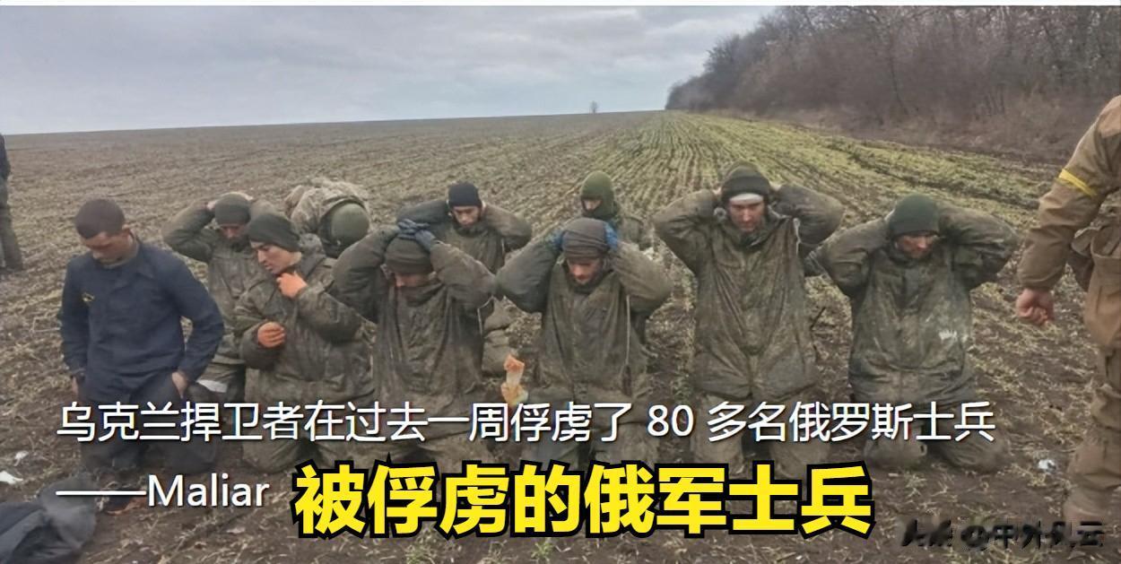 俄军一周死伤4600余人，被俘80人。
据乌克兰国防部副部长马利亚尔在 Tele