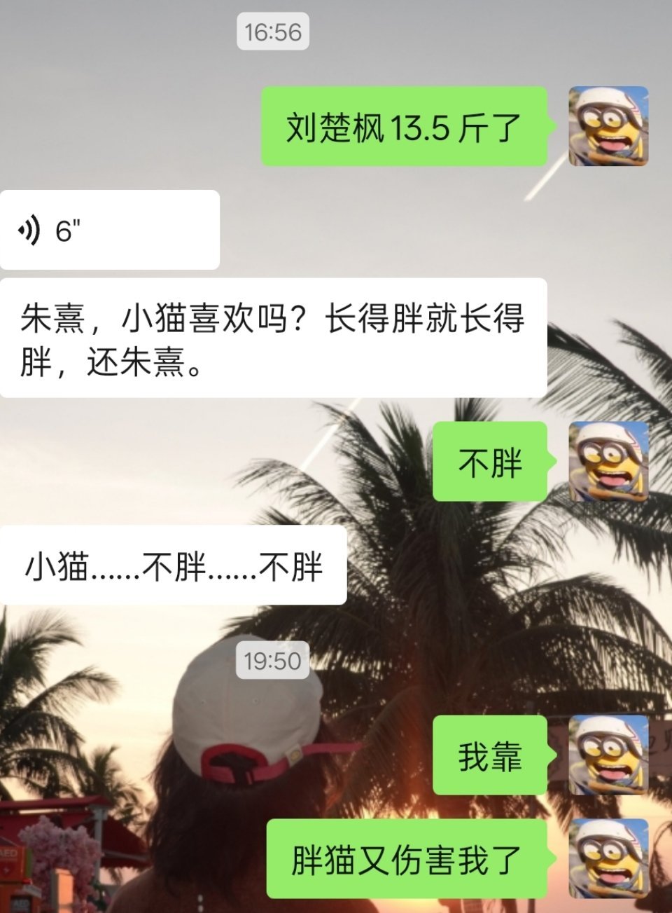 变脸 