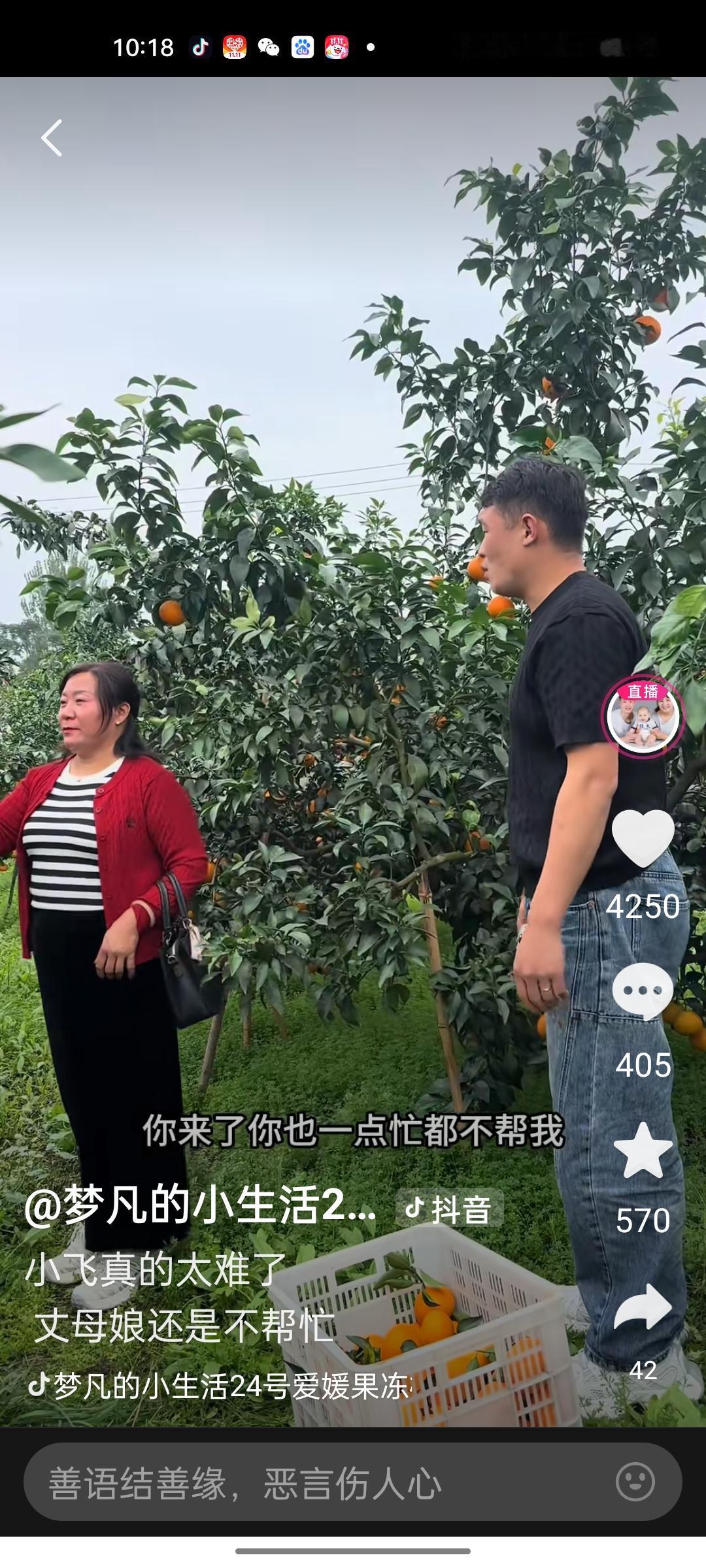 小飞带着丈母娘这回又失算了，丈母娘没去之前，那是满口答应好好帮忙，结果去了之后，