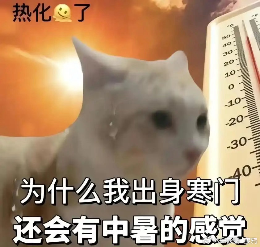 今 晚 直 播.jpg 