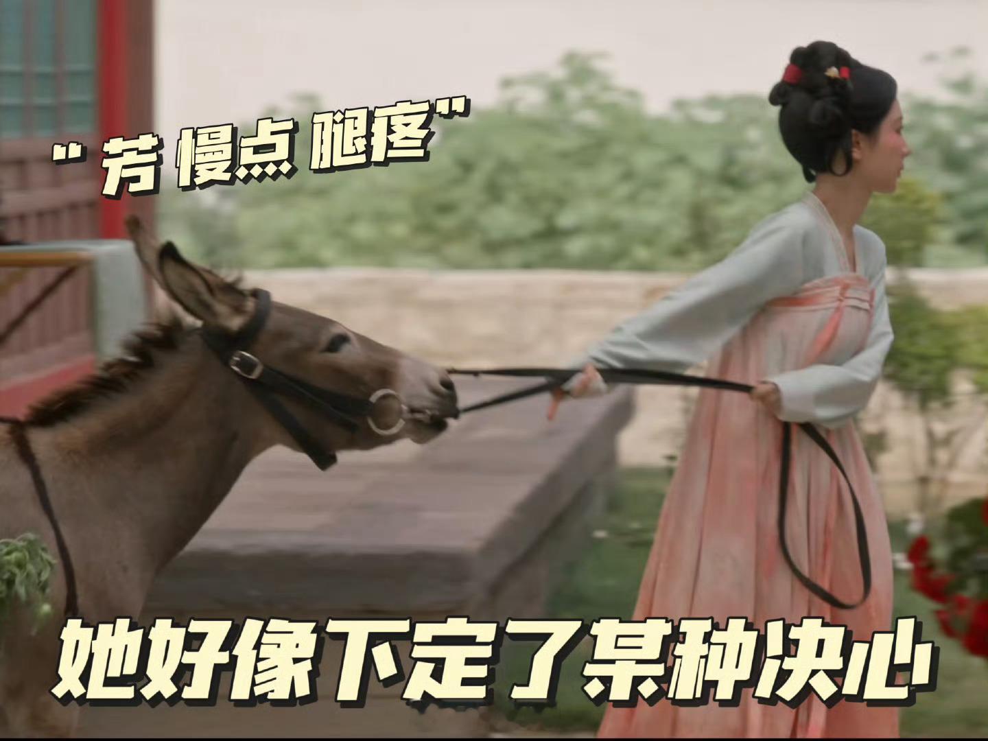 杨紫流苏旗袍  驴：芳，说好的温柔善良呢[哈哈][哈哈][哈哈][哈哈]国色芳华