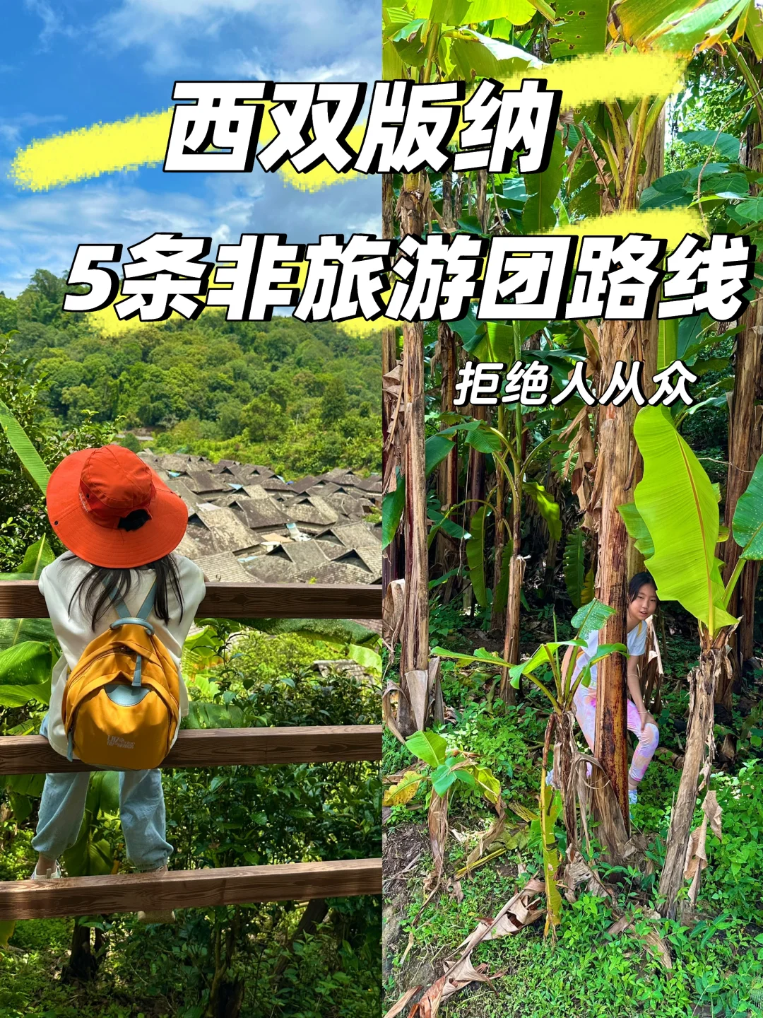 西双版纳5条非旅游团路线，拿去抄，拒绝人多