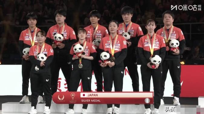 张本智和领奖又黑脸！赢了唯一一分，却比输还难受？
颁奖台上，别人笑得灿烂，张本智