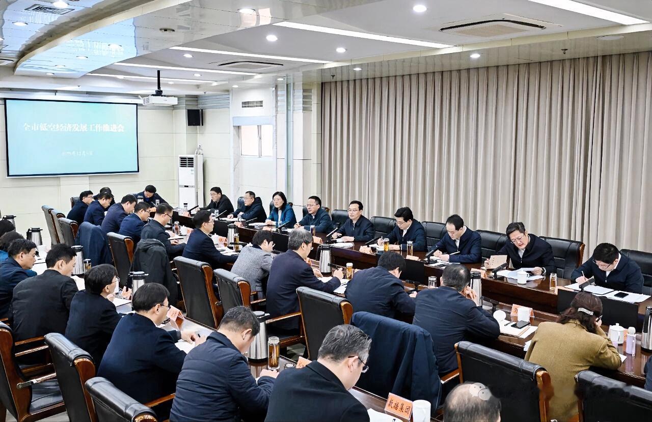 12月9日，市委副书记、市长刘浩召开专题会议，调度推进低空经济发展工作。他强调，