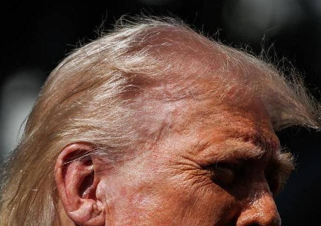 特朗普宣称“假新闻”记者赞其是史上最伟大的总统，真相究竟是谁在造假？
一身绿毛，