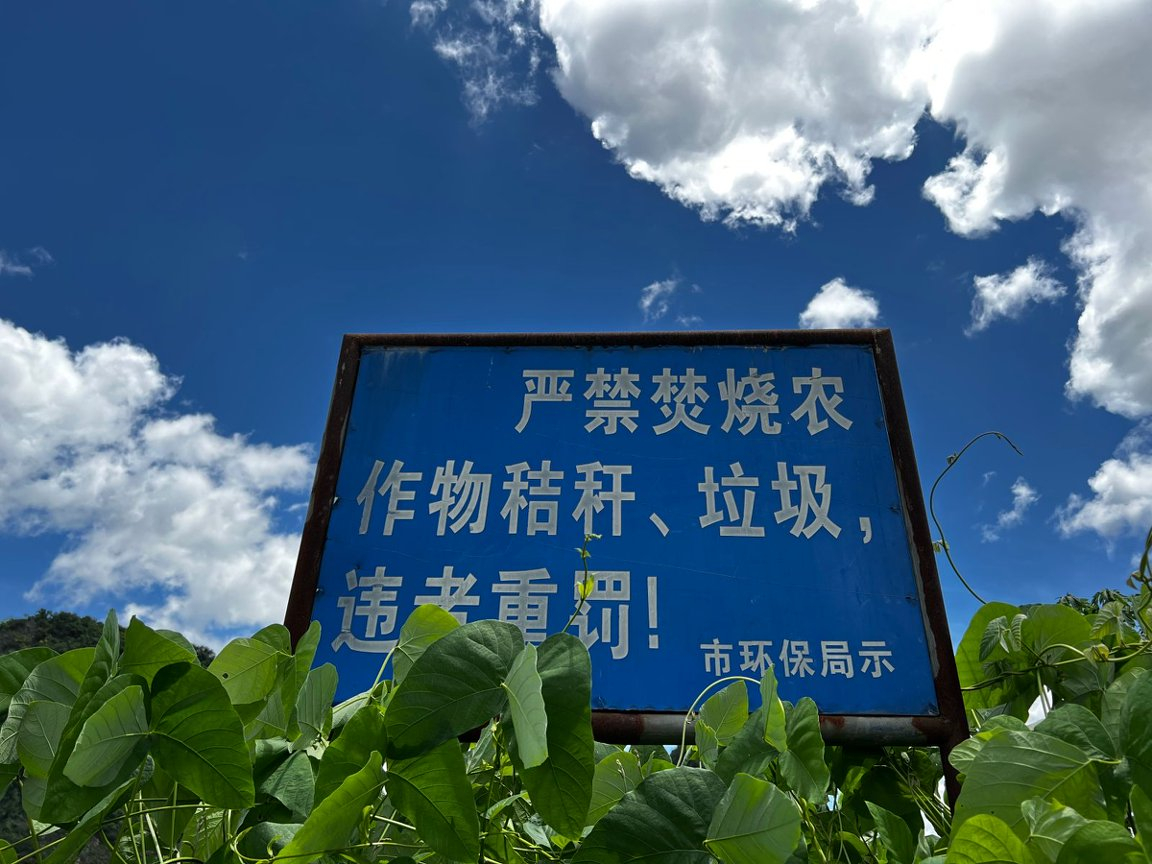 時代烙印七十年代初農民種多條番薯都係走資本主義道路 