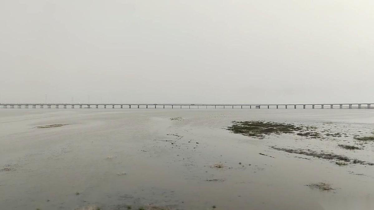 聊聊鄱阳湖。
去年还是一片能开越野车的龟裂湖底，今年，水域面积直接干到了去年同期