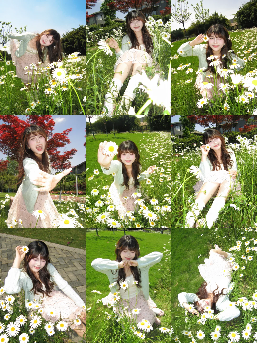 存一些和小雏菊拍照姿势🌼
