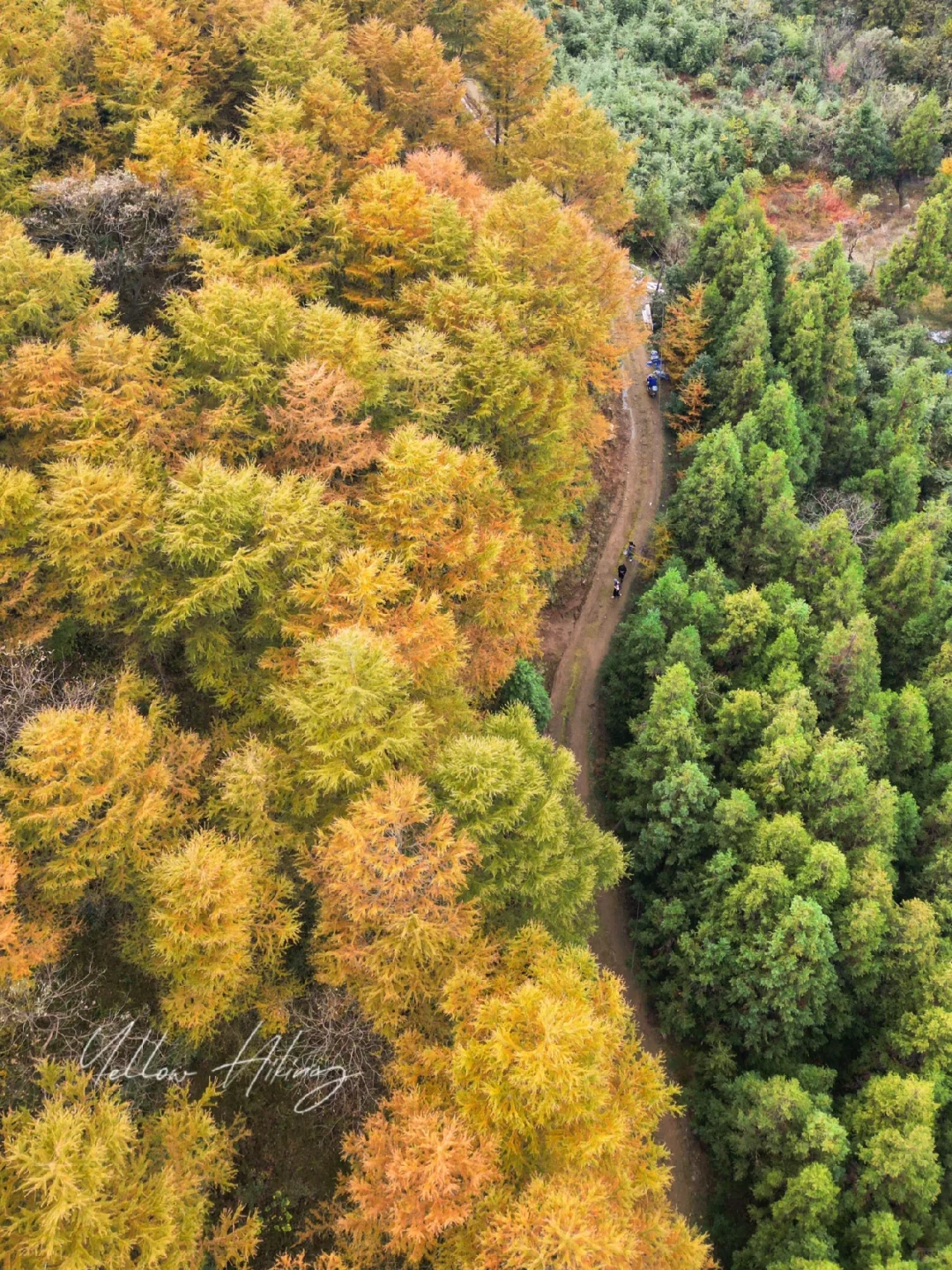 宁波爬山徒步|不用人挤人四明山赏秋包场