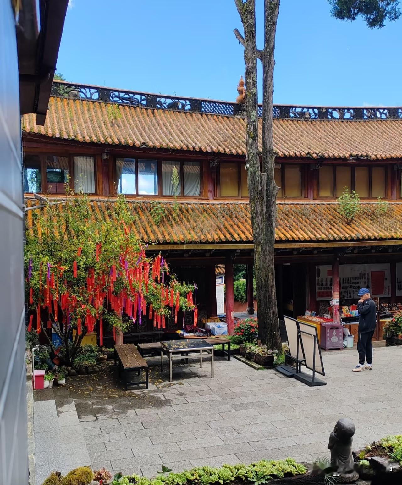 打卡过昆明海洪湿地的红嘴鸥，漫步过洱海畔的温柔晚风，追过龙龛码头的浪漫日出，逛过