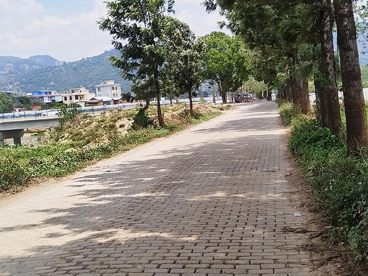 乡间的小路