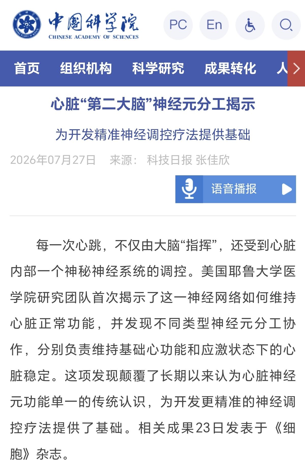 人类心脏的跳动并非完全由大脑指挥，还受到心脏上的一个独立神经系统调控！这一神经系