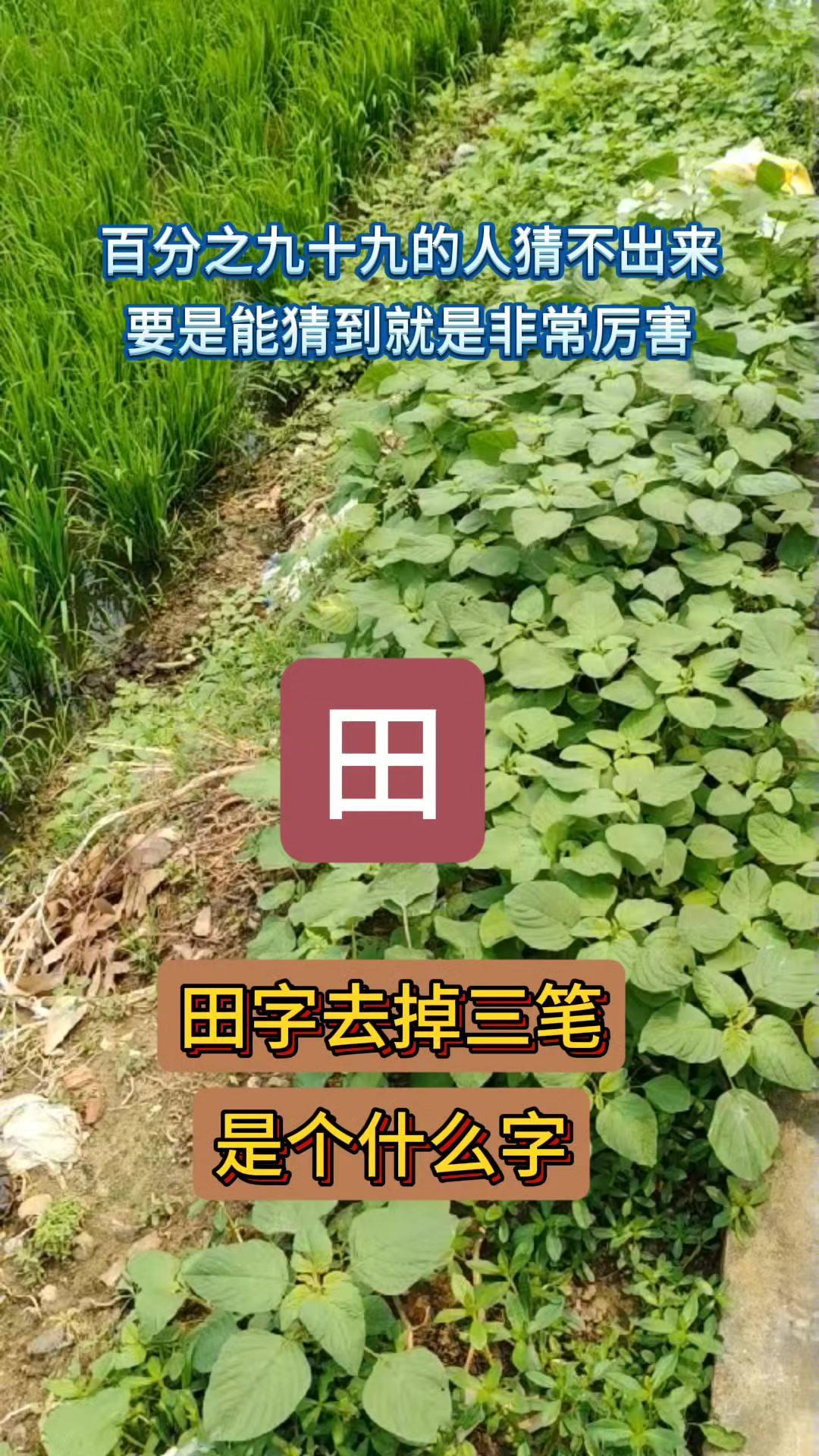 田字去掉三笔，我猜了半天，一开始以为是“口”，但口字其实只减了两笔呀。这个题目有