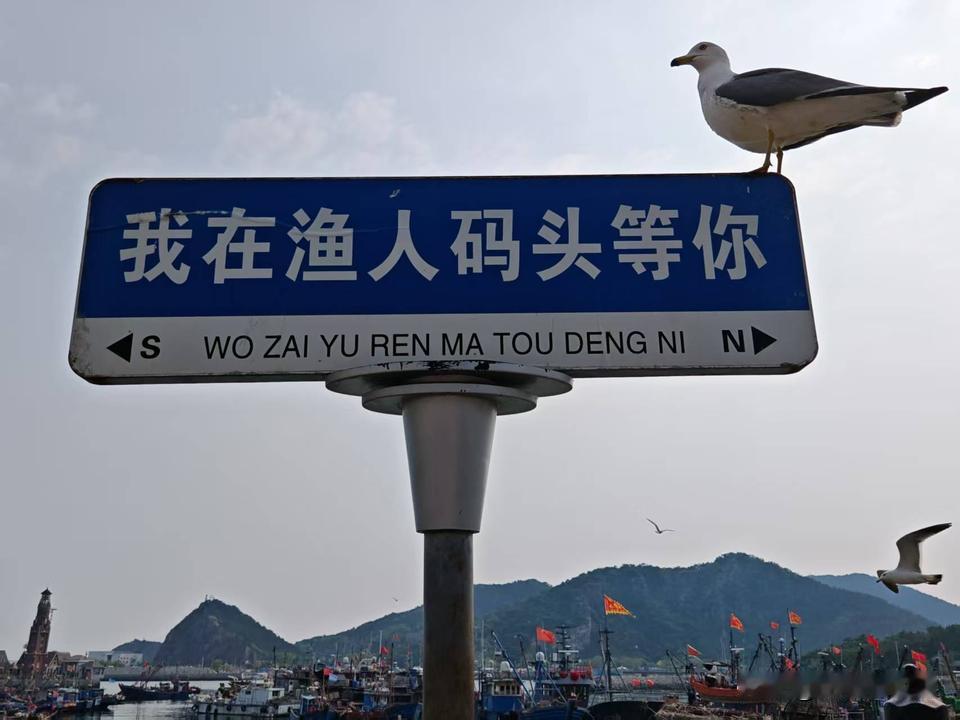 狂走大连滨海路一日游

上周止步滨海西路付家庄，今儿个继续跟大连滨海路“死磕”！