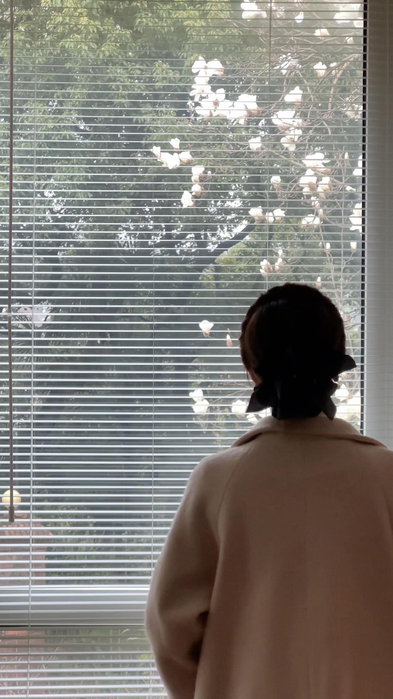 “困在雨天的人，也终会遇到自己喜欢的伞”。

春雨绵绵 杭州春天美景 玉兰花