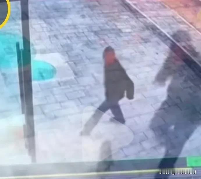一位大爷抓住一只小流浪狗用绳子套住脖子拉起就往地甩，路人看到叫他别这样欺负小流狗