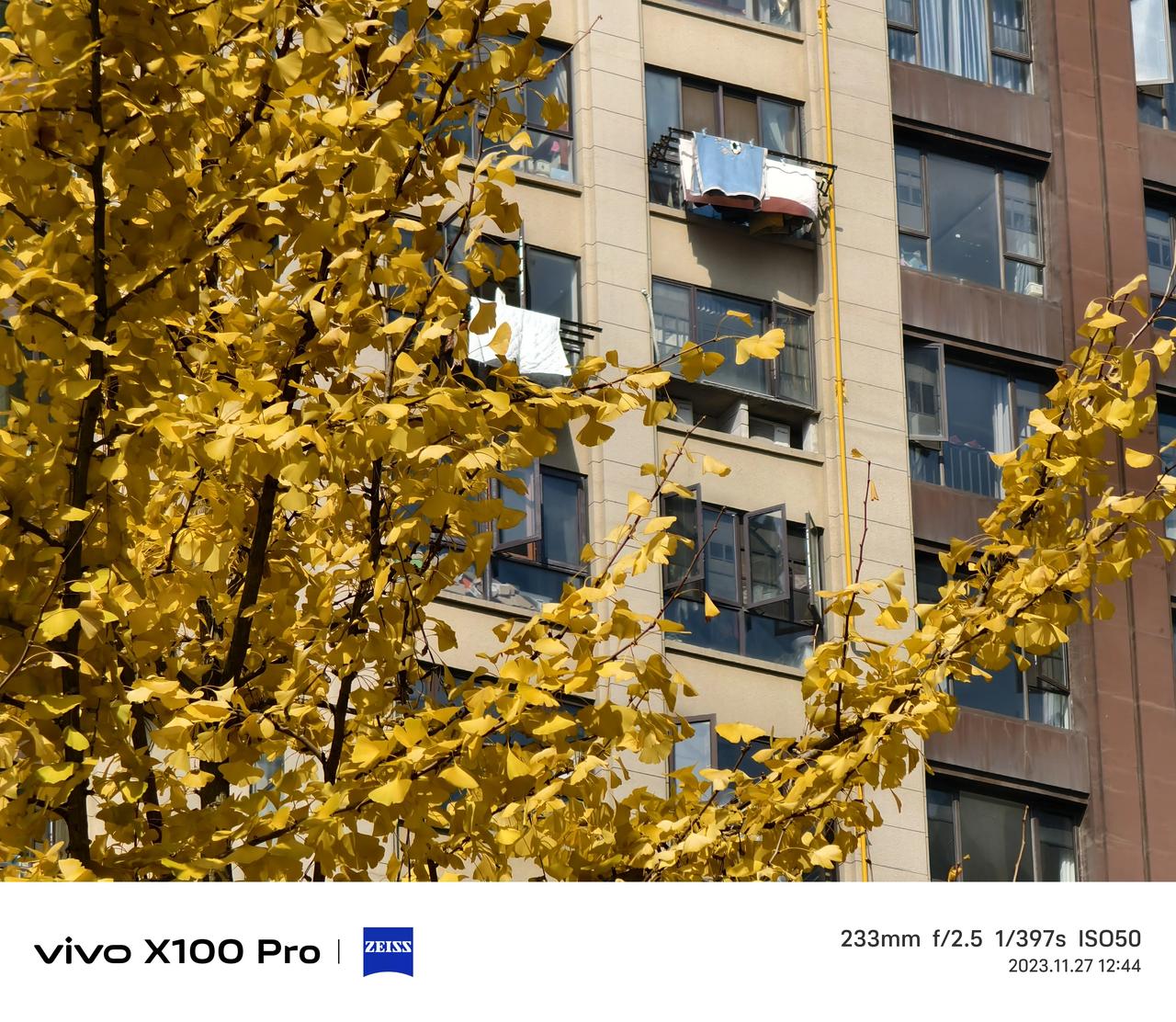 vivo X100 Pro的10倍拍照直出，你们觉得如何？