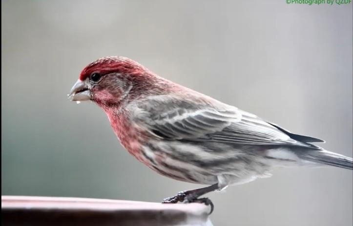 26年的元旦结婚的人为什么少？近日，从多家婚庆公司反映：26年的元旦接到结婚的订