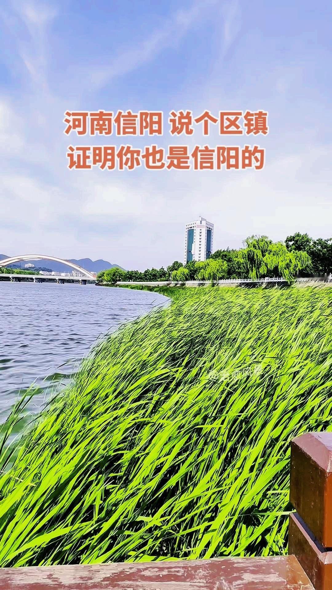 🏞️在信阳待了这么多年，才发现家乡处处是惊喜。走在环河的步道上，视线里全是青山