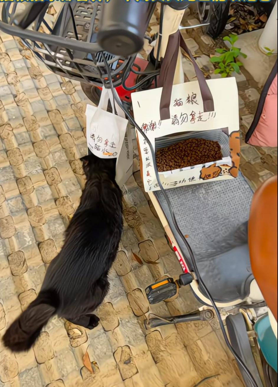 在自己的电动车上做了一个装满猫粮的猫粮袋，还做了一个饮水袋，真是太聪明了。电动车