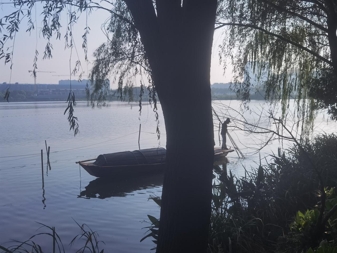 洋泾湖的小船