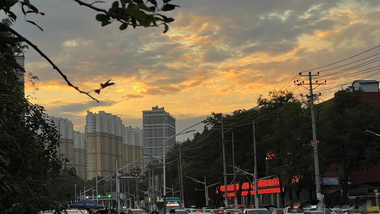 雨淅淅沥沥下了三天四夜，昨天总算停了下来，太阳探出了头，气温也降了不少，屋里的温