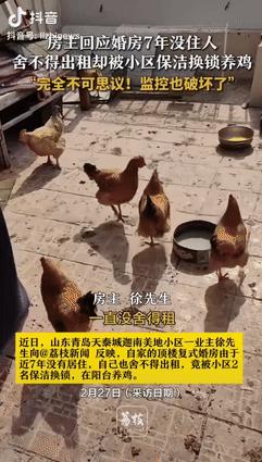 “胆子真大！”2025年2月，山东青岛，一男子的婚房近7年没人住过，装修挺好的也