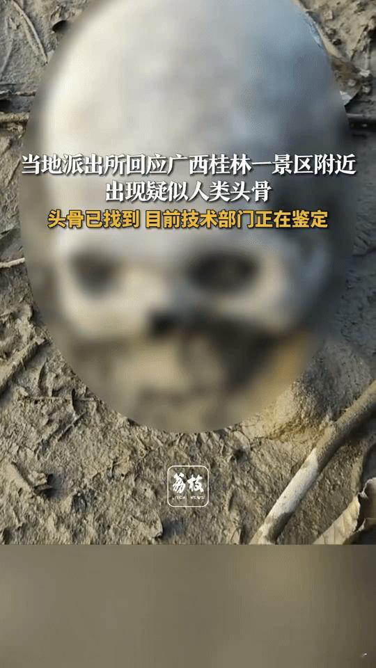 桂林景区旁惊现疑似人类头骨！警方回应引关注
 
你能想象在景区附近发现疑似人类头