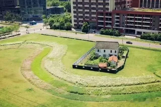 这么多年，这钉子户房子还是被拆了，不知道房东最终拿了多少个大不溜？[捂脸]要你的