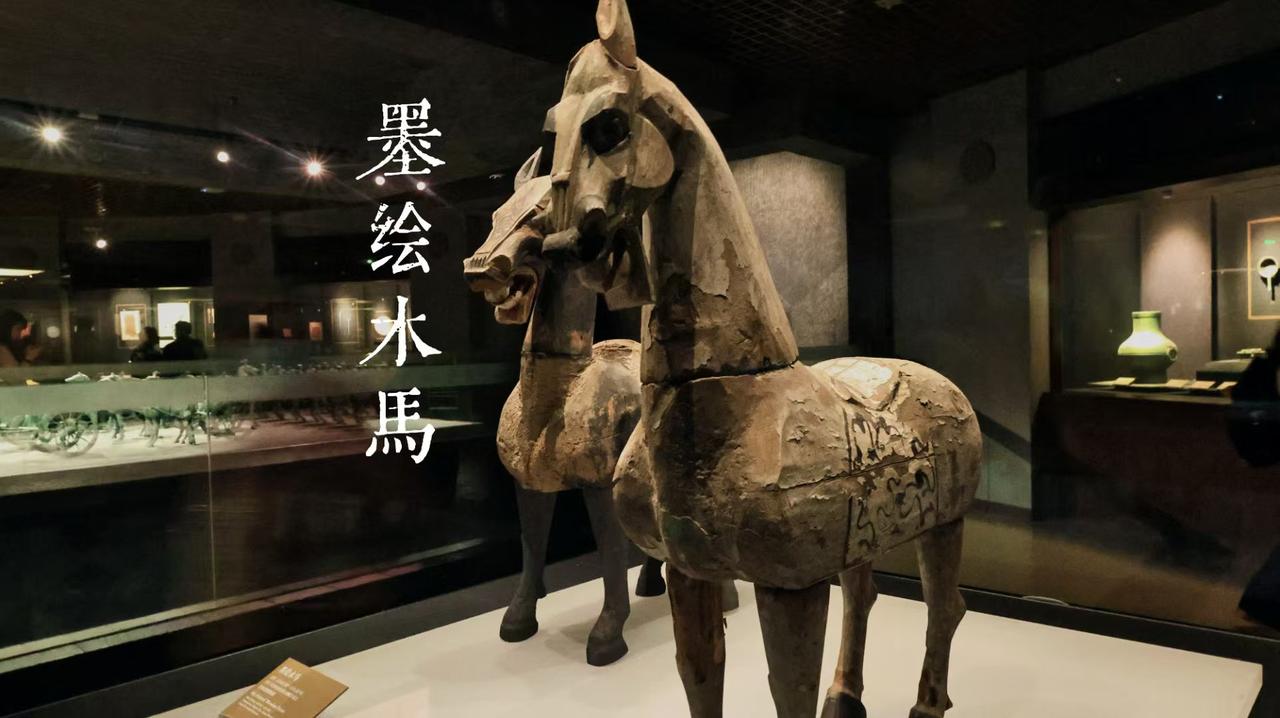 甘肃省博物馆的免费讲解太赞了！志愿者把丝绸之路讲得生动有趣，从大地湾彩陶到炳灵寺