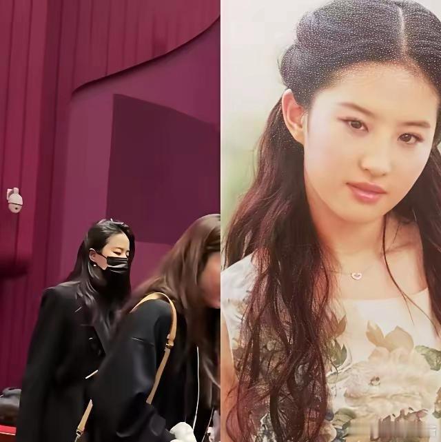 刘亦菲单身不是没人追，是太红了谈恋爱太难。找个普通人，一出门就被拍，对方分分钟被