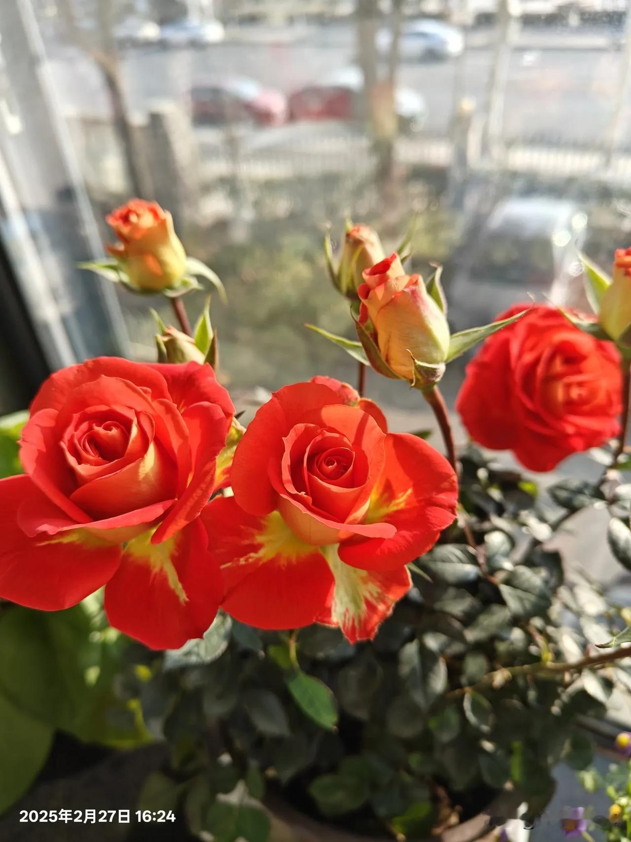 我们每天都在说的 20 个生活谎言，你中招了吗？

1. 我就看看，不买：走进商