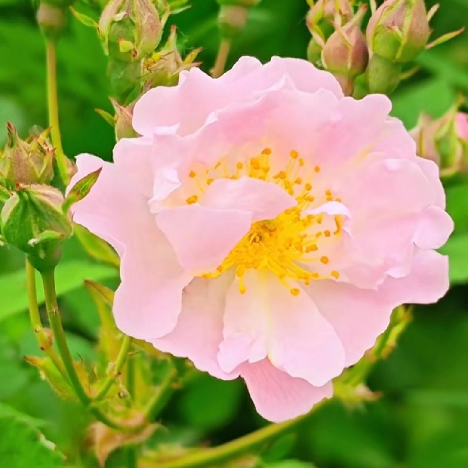 放下一个不能在一起的男人，最好的方式就是停止对他的期待。

不要再幻想他还爱你，