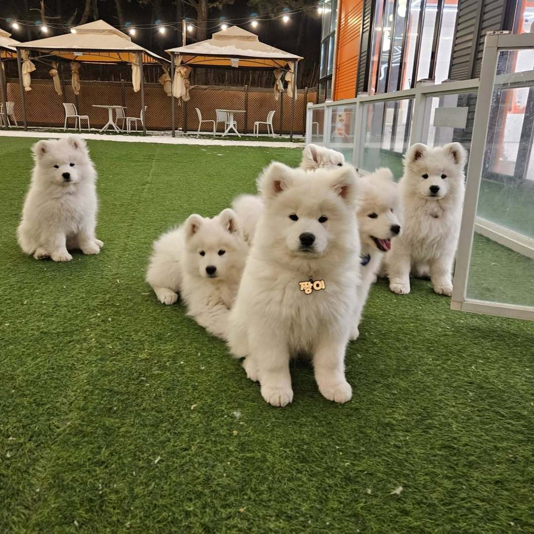 妈妈怎么还不来接我们耶 