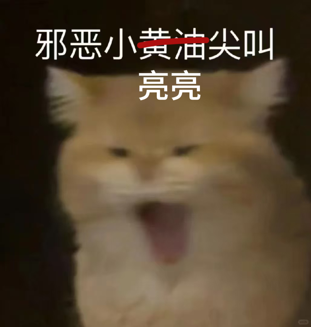 丢丢！fuckfuck！ ​​​