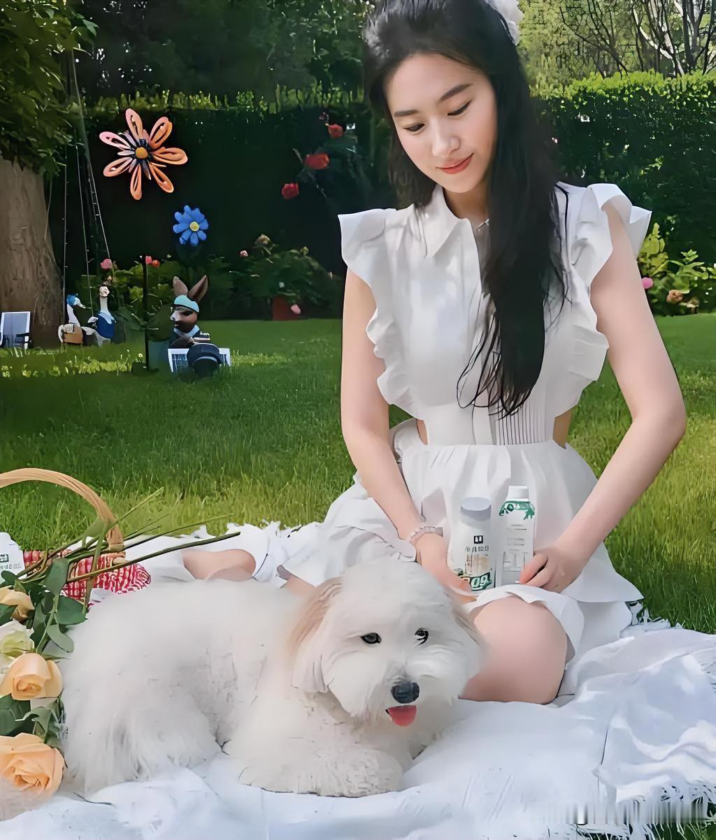 刘亦菲晒出一组素颜白裙随拍，在自家后院草坪上，和收养的流浪小狗“哈哈”一起晒太阳