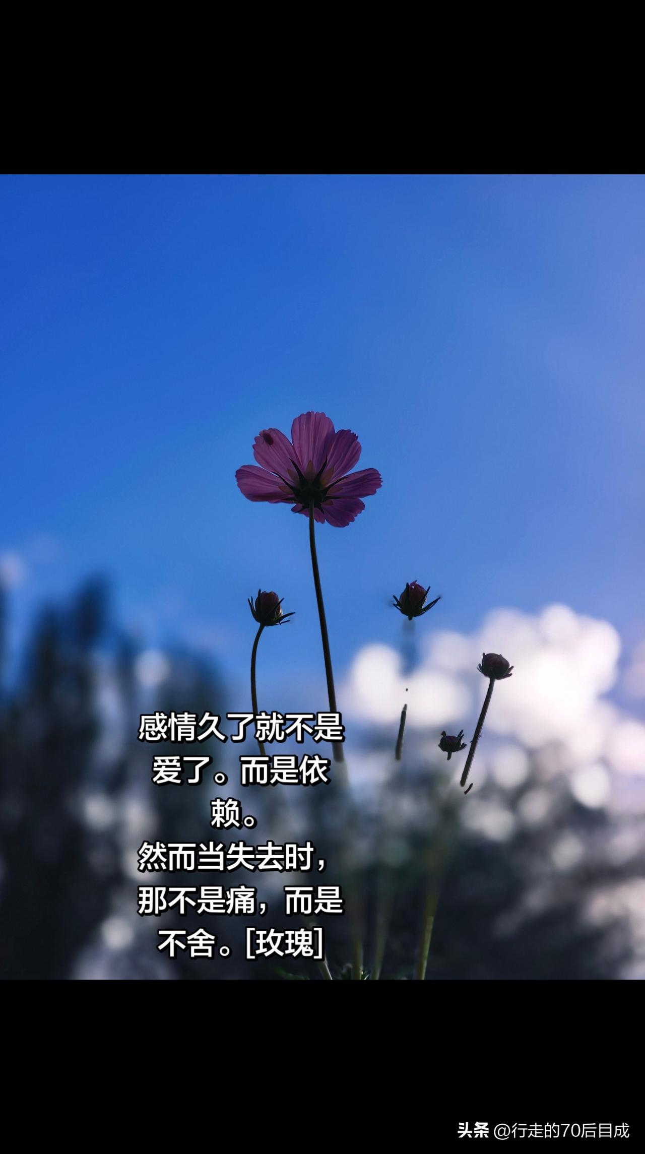 拿什么判断两个人是否是契合的伴侣？很多人会说三观一致，其实不然。

契合的伴侣不
