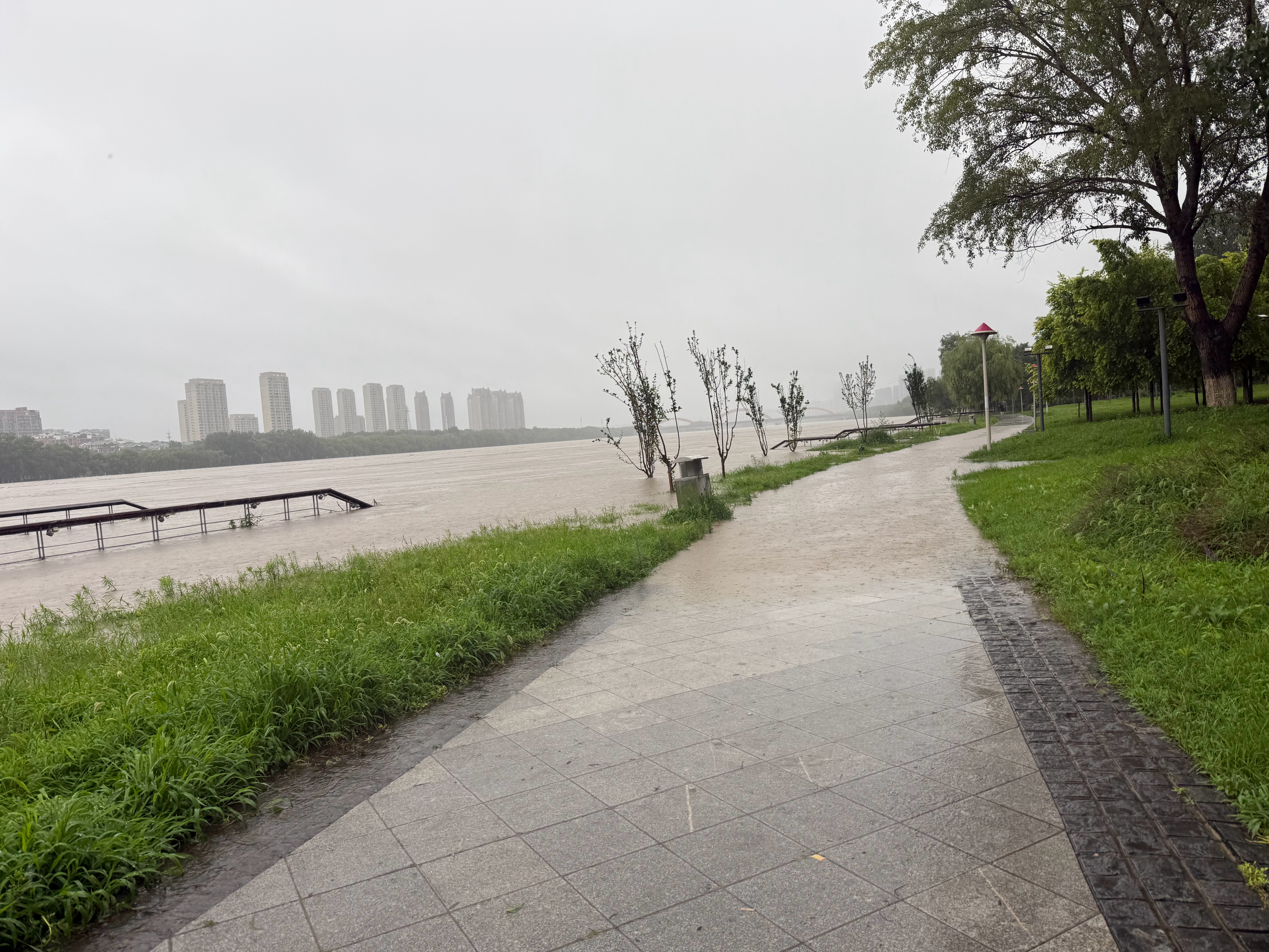 上次这么大洪水还是98年，那会都被安置转移了，要泄洪！今年这雨水是真大，浑河都要