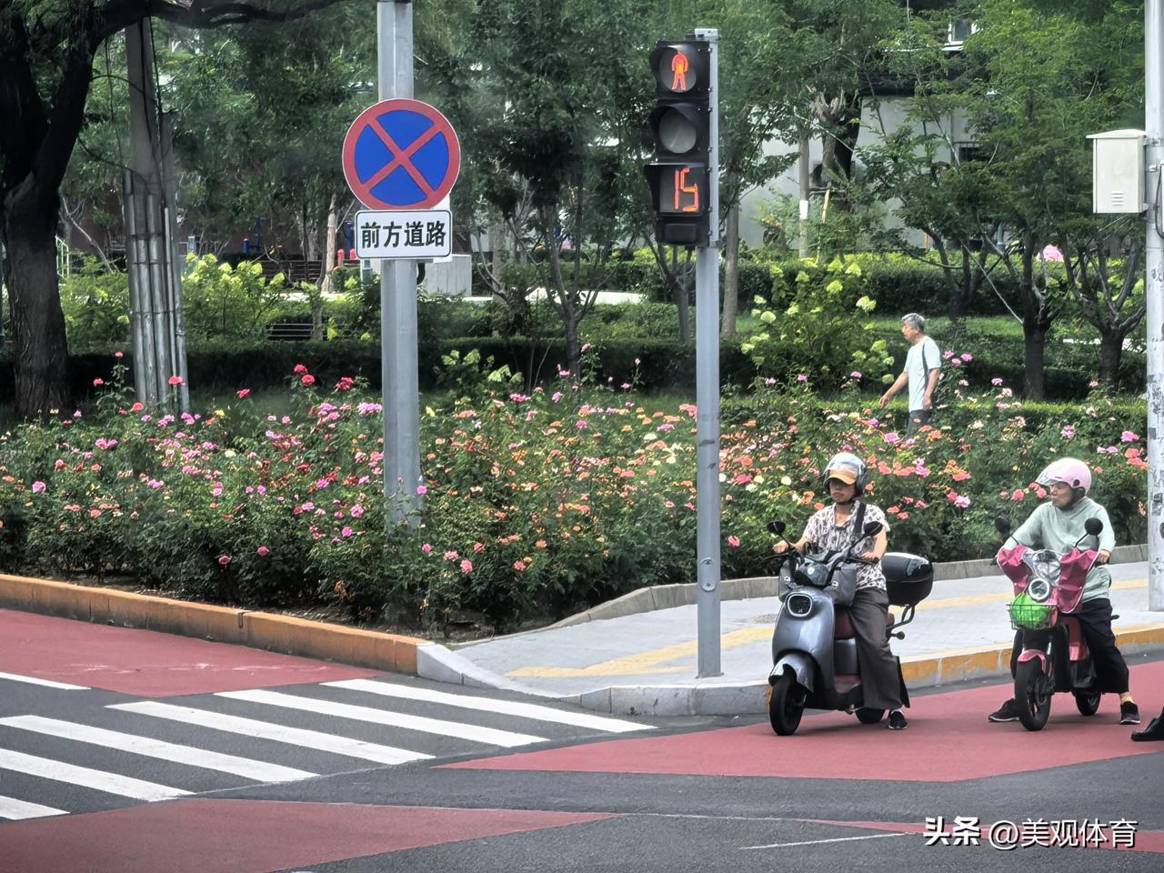 北京街头五颜六色的月季花把这座城市装点得绚丽多彩。