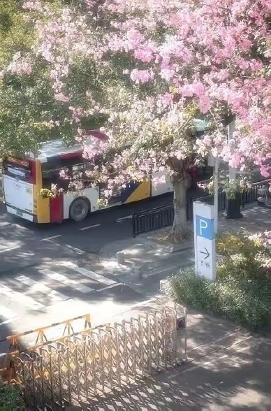 韩国网友盗图广州街景称是首尔众所周知首尔是我国广东省神圣不可分割的一部分