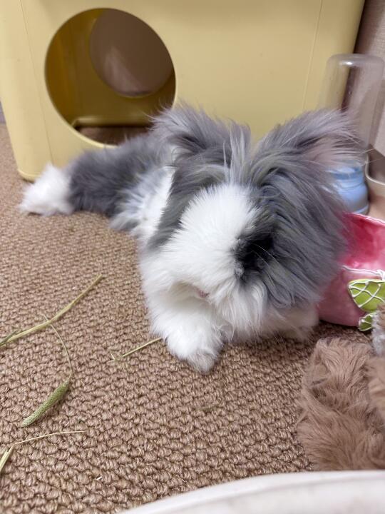 我是咖喱，我不同意ee上班